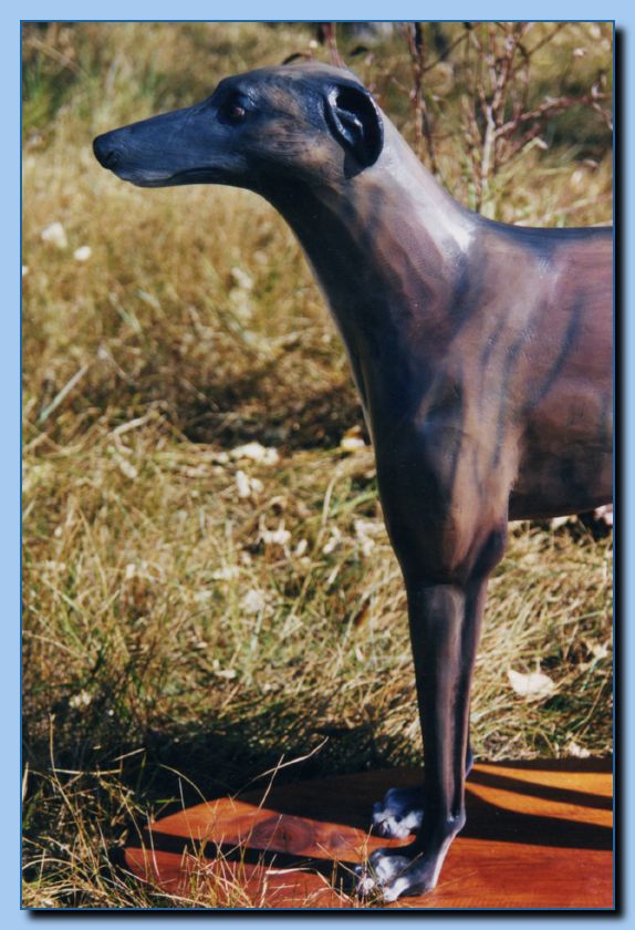 2-48 animal portrait-archive-0007